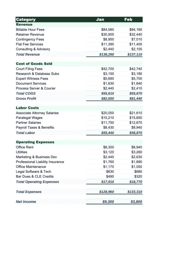 Law Firm Budget Template preview