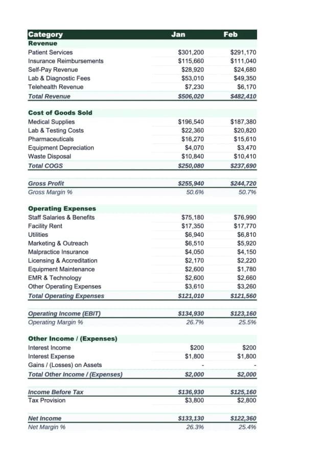 Health Care Income Statment Example Healthcare Income Statement Example | Stackrows